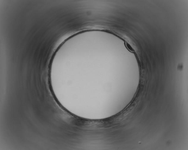 X0000089451187200707131920