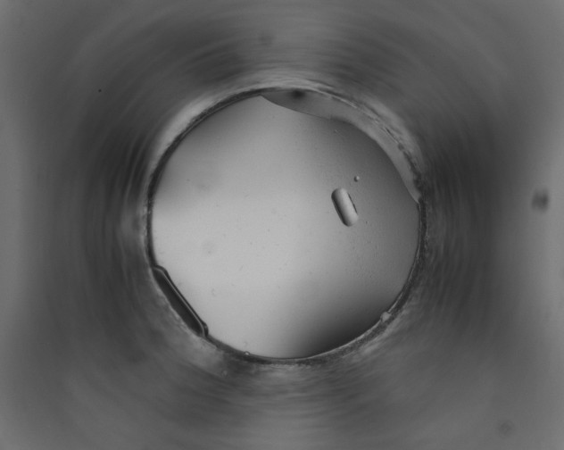 X0000089451188200707131920