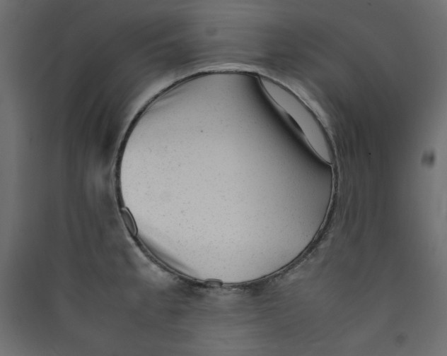 X0000089451189200707131920