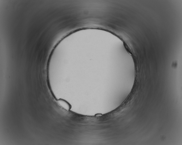 X0000089451191200707131920