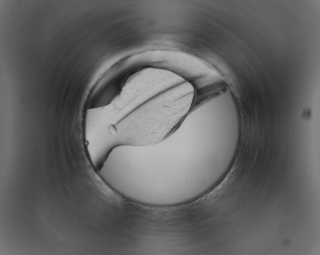 X0000089451192200707131920