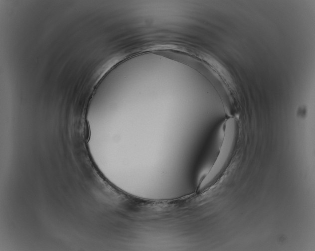 X0000089451193200707131920