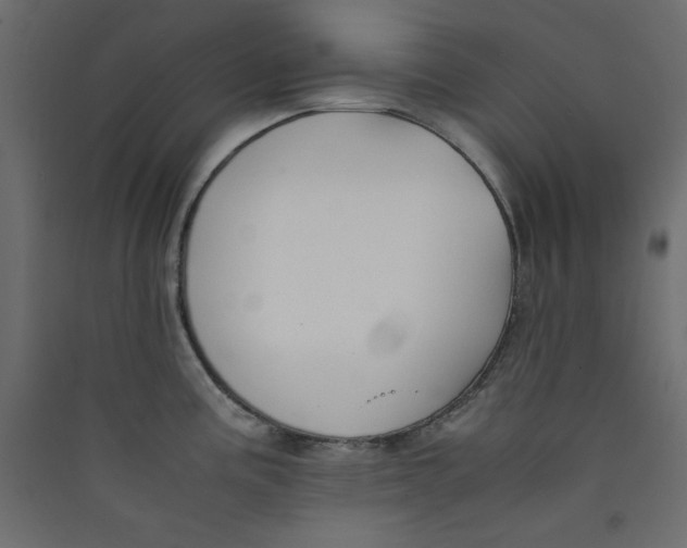 X0000089451195200707131920