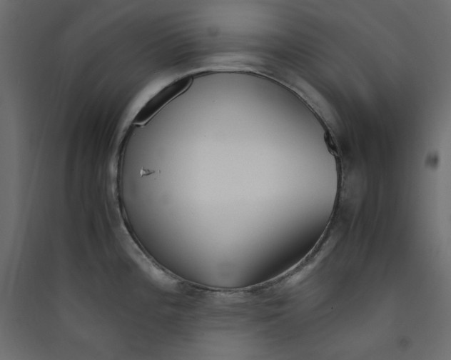 X0000089451196200707131920