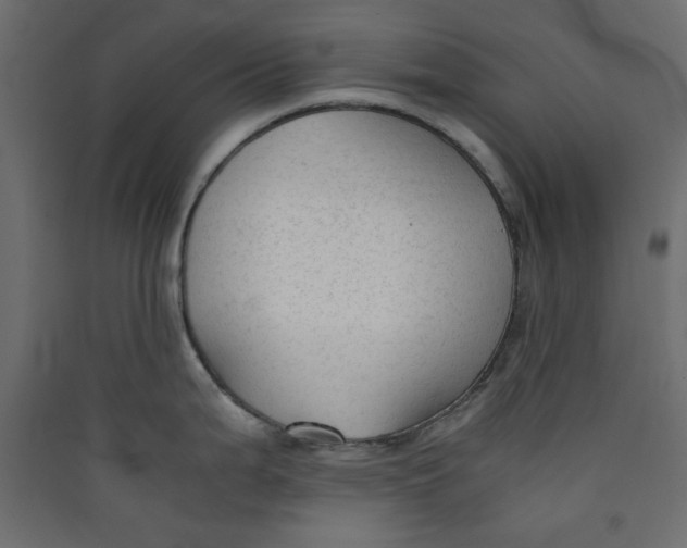 X0000089451199200707131920