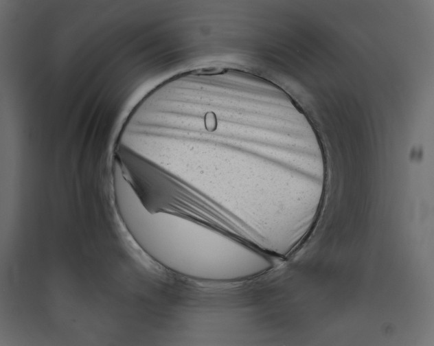 X0000089451200200707131920