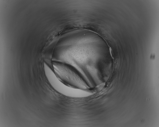 X0000089451202200707131920