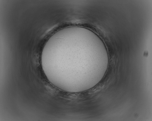 X0000089451205200707131920