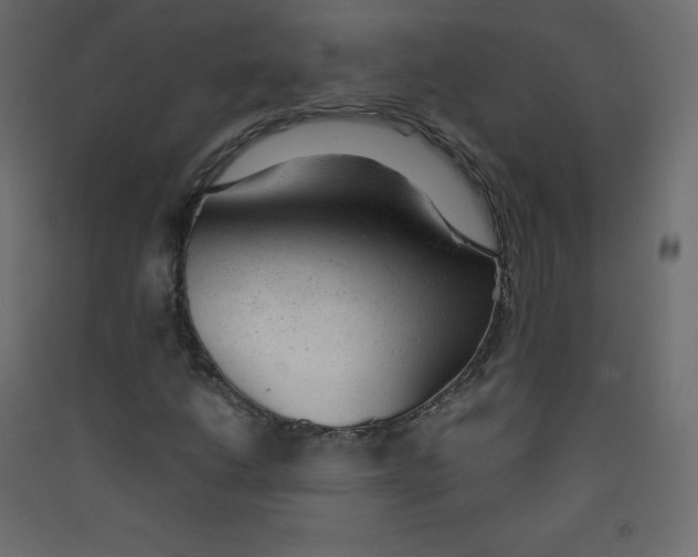 X0000089451206200707131920