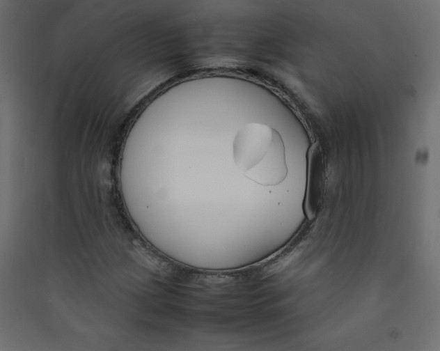 X0000089451209200707131920