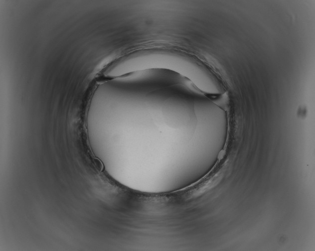 X0000089451210200707131920