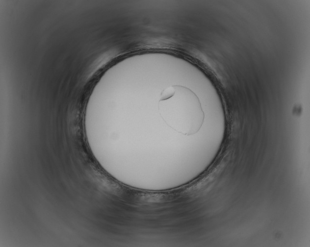 X0000089451211200707131920