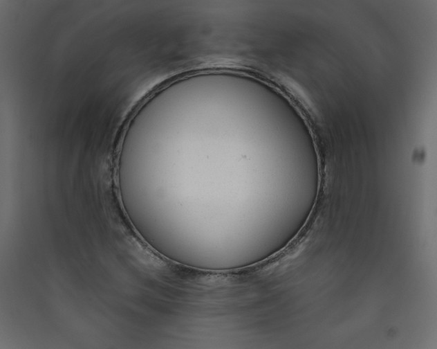 X0000089451212200707131920