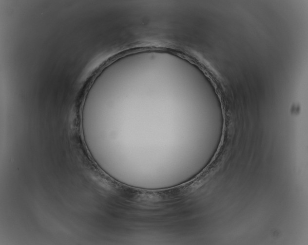 X0000089451215200707131920