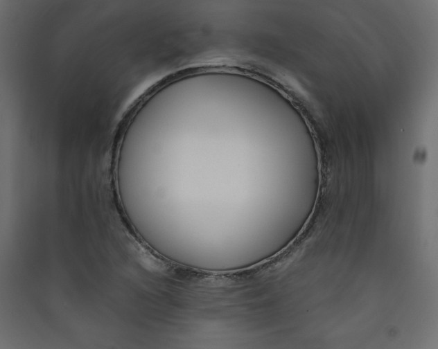 X0000089451216200707131920