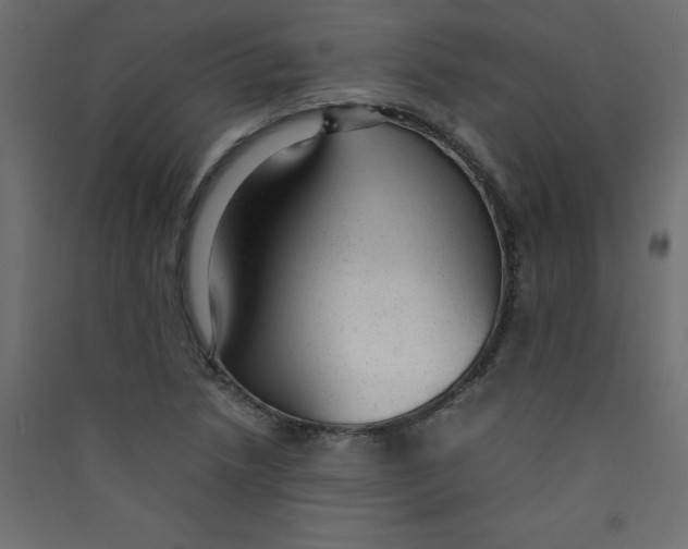 X0000089451218200707131920