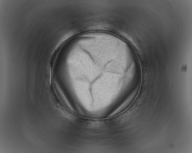 X0000089451219200707131920