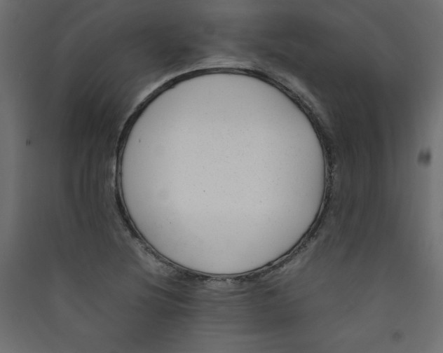 X0000089451220200707131920