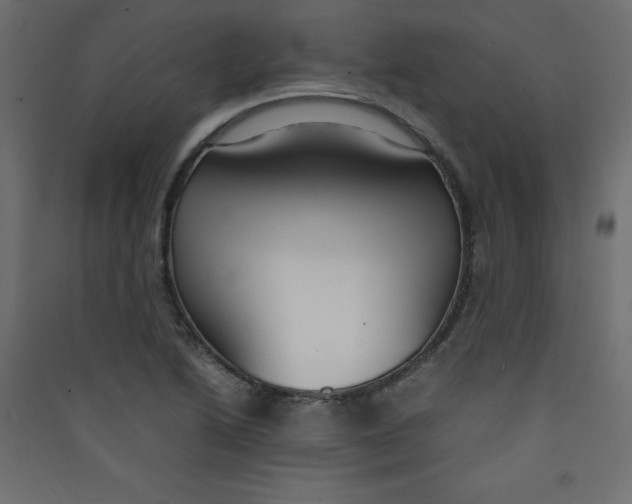 X0000089451222200707131920