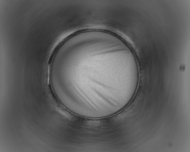 X0000089451223200707131920