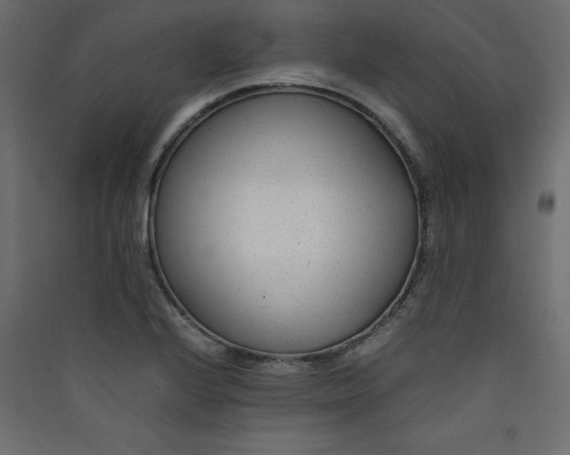 X0000089451224200707131920