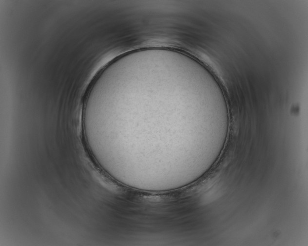 X0000089451227200707131920