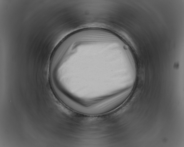 X0000089451228200707131920