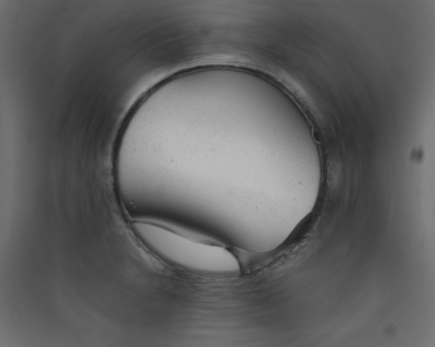 X0000089451230200707131920