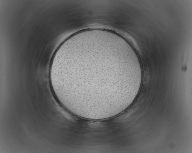 X0000089451231200707131920