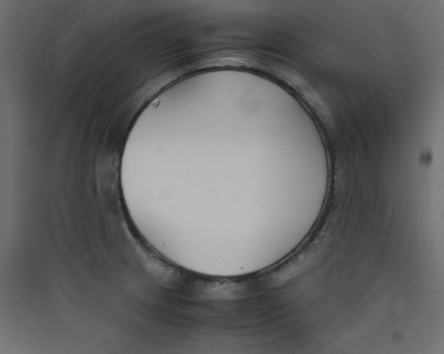 X0000089451233200707131920