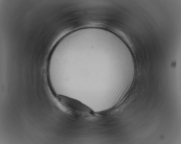 X0000089451235200707131920