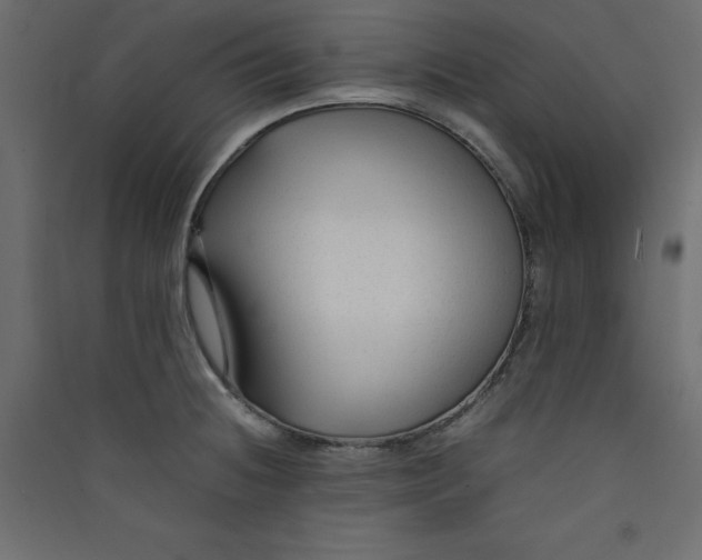 X0000089451236200707131920