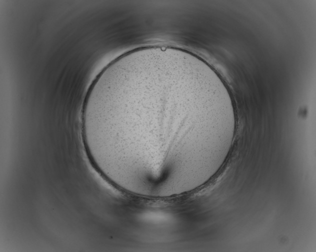 X0000089451239200707131920