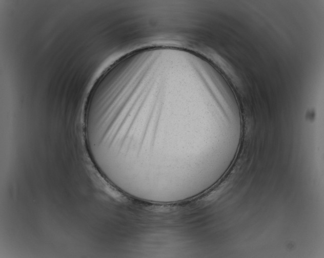 X0000089451240200707131920