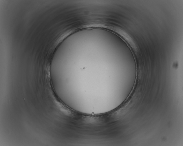 X0000089451241200707131920