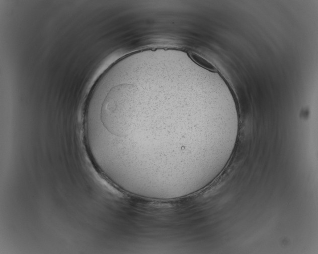 X0000089451243200707131920