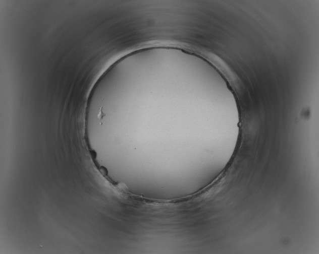 X0000089451244200707131920