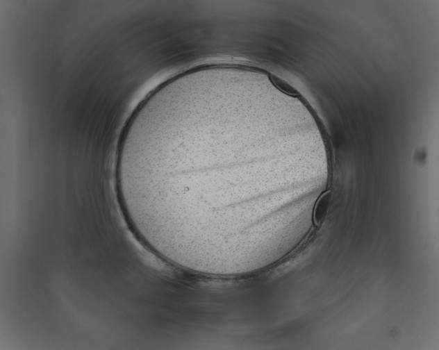 X0000089451245200707131920