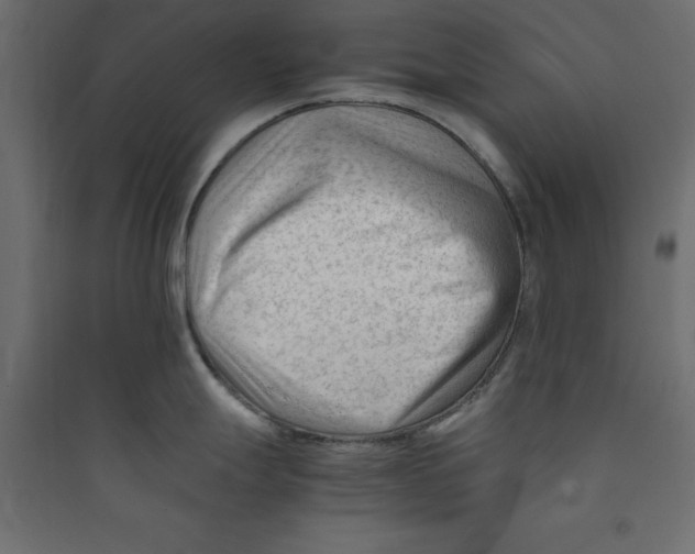 X0000089451247200707131920