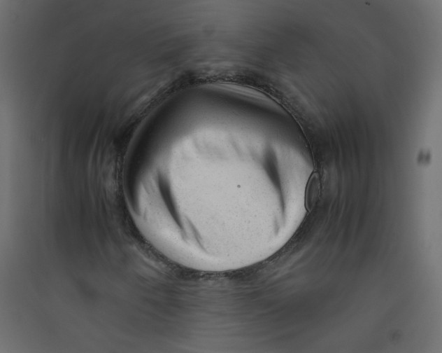 X0000089451250200707131920