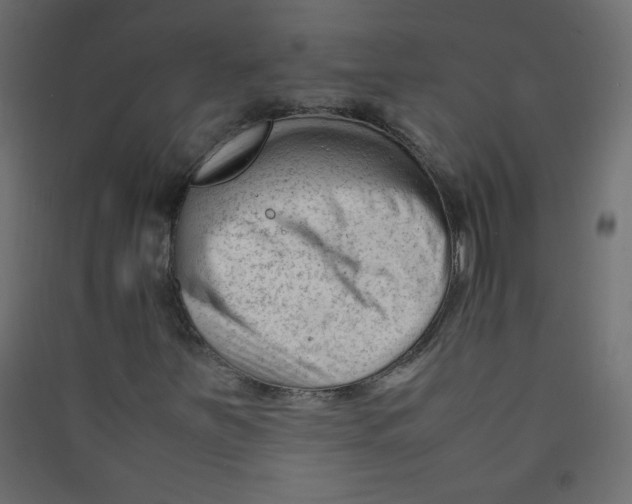 X0000089451251200707131920