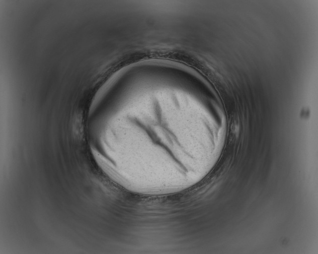 X0000089451252200707131920