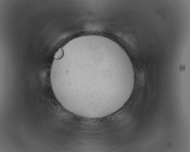 X0000089451254200707131920