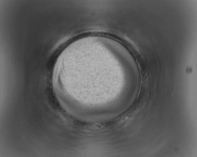 X0000089451255200707131920