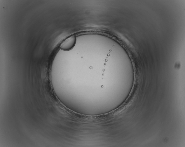 X0000089451259200707131920