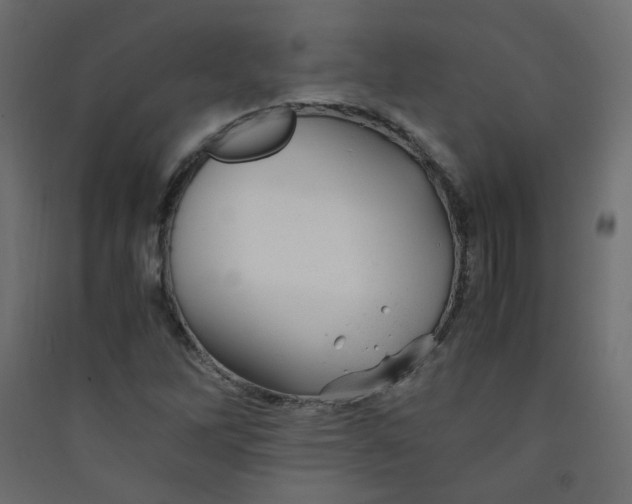 X0000089451262200707131920