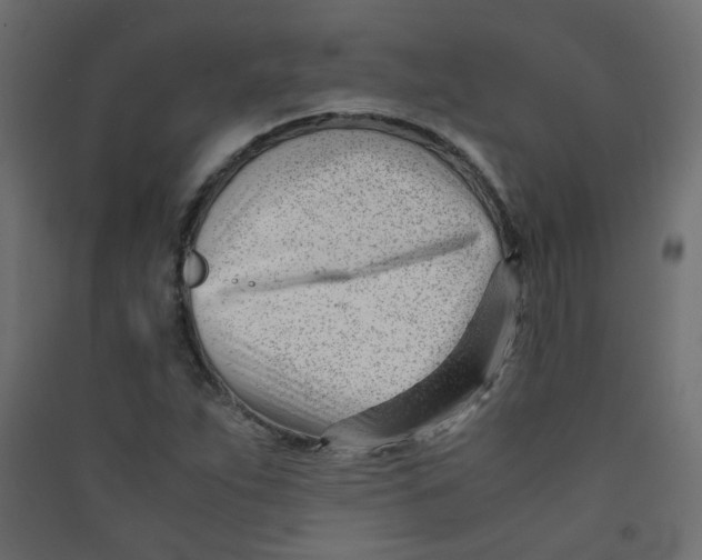 X0000089451263200707131919