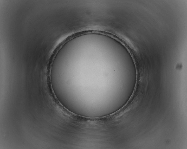 X0000089451264200707131919