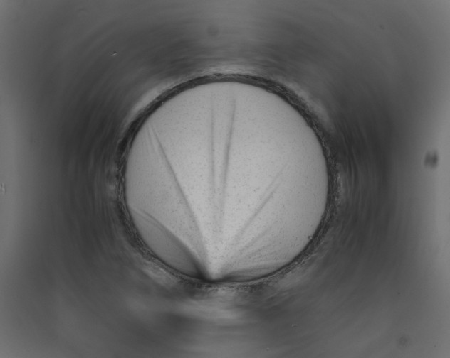 X0000089451266200707131919