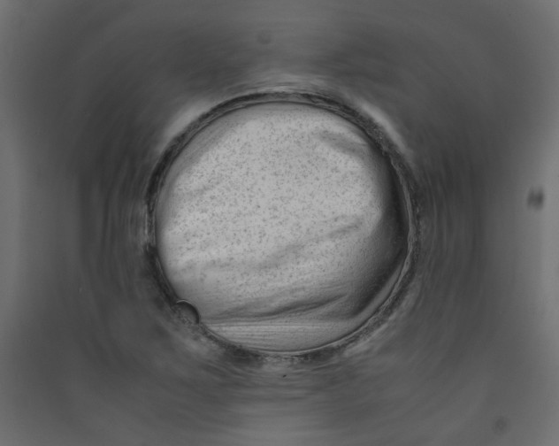 X0000089451267200707131919